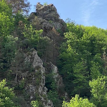 Duplex Roca Del Sucut Leilighet Ribes De Freser Eksteriør bilde